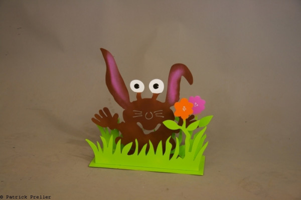 Patrick Preller Hase auf der Wiese